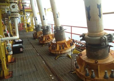 INSPECTION AND ANNULUS TESTING OF 5 LENGTH OF FLEXIBLE 2021