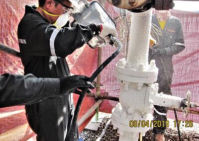 Thermal Insulation Coating for 230° Celsius of live Pipe 2019