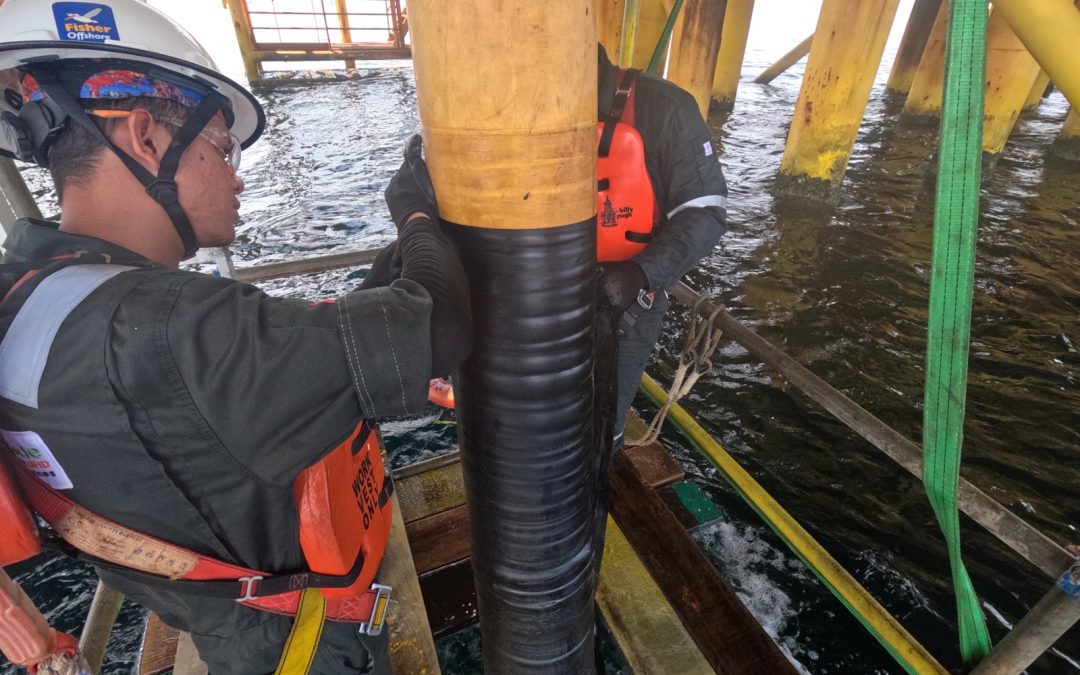 Provision of Pipeline Inspection, Repair and Modification PL368 Laila-Betty Flexible Riser 2023