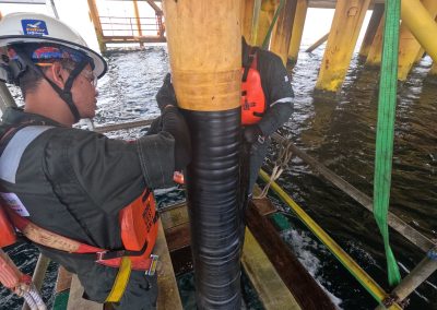 Provision of Pipeline Inspection, Repair and Modification PL368 Laila-Betty Flexible Riser 2023