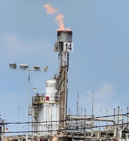 Provision of Materials, Removal and Installation for F-815 Flare Tips and Its Accessories Replacement at Butanol Unit During PCOGD Shutdown 2023