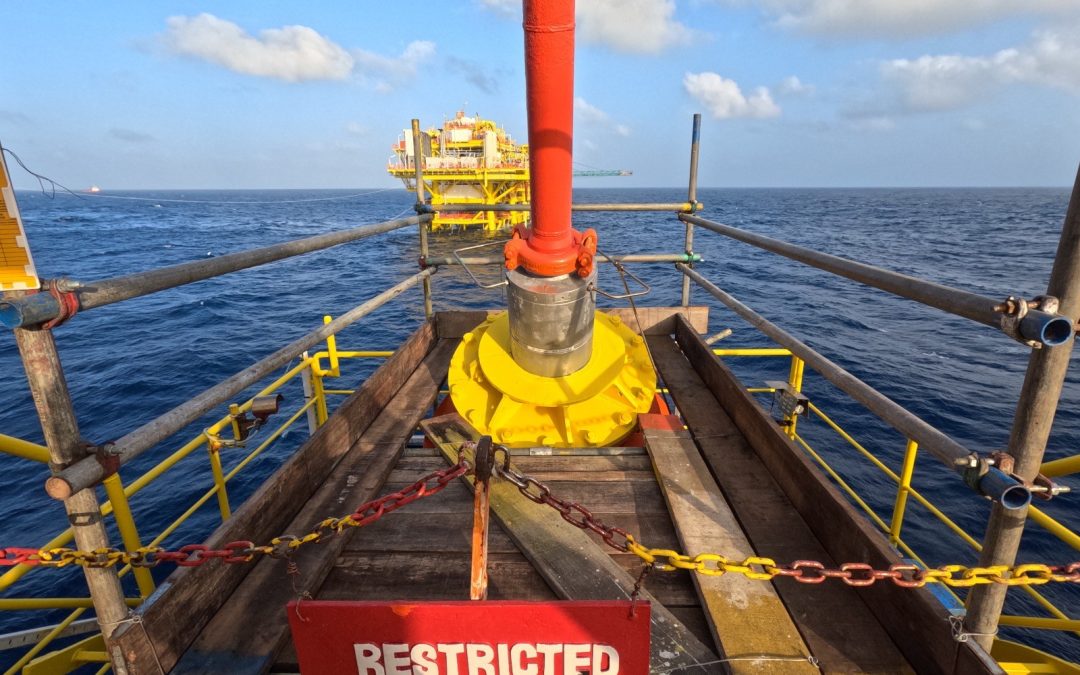 FSO SEPAT Flexible Riser Annulus Inspection 2024